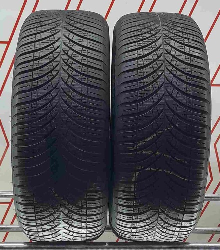 Шины Goodyear Vector 4Seasons 195/65 R15 -- б/у 5.5